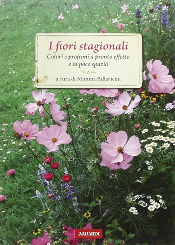 Fiori stagionali - fiori,