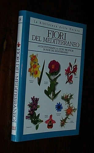 Burnie i fiori - burnie, :