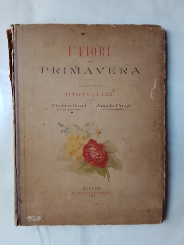 Fiori primavera di - fiori,