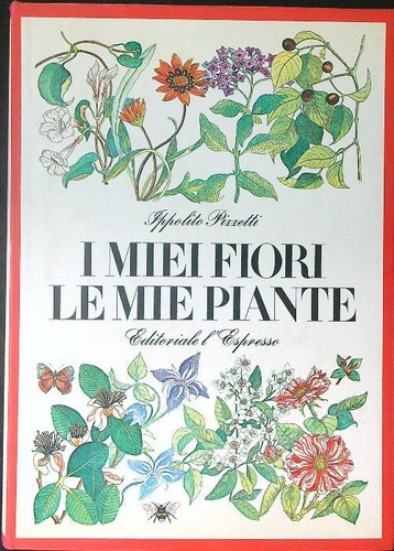 Miei fiori mie piante - fiori,