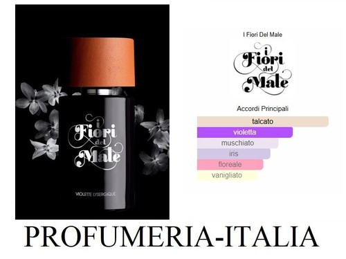 Violette lysergique fiori - violette,
