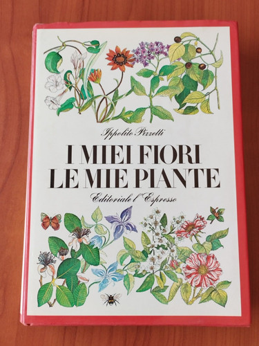 Miei fiori mie piante di - miei,