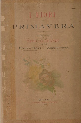 Fiori primavera pietro - fiori, di