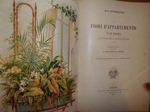 Fiori appartamento e di - appartamento,