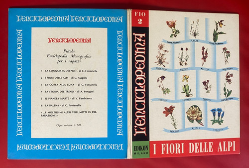 Gigliola magrini i fiori - gigliola,