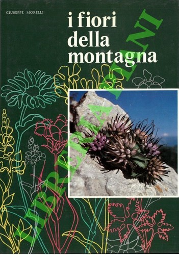 Morelli giuseppe i fiori - morelli,