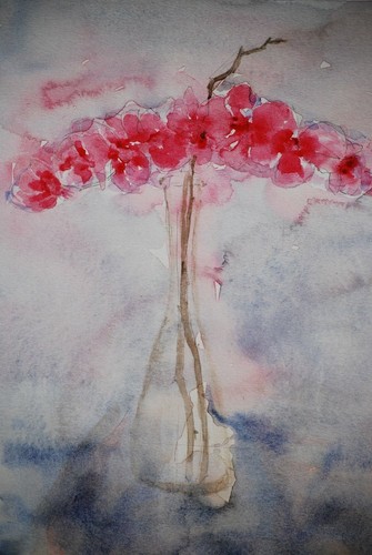 Fiori rosa acquerello su - rosa,