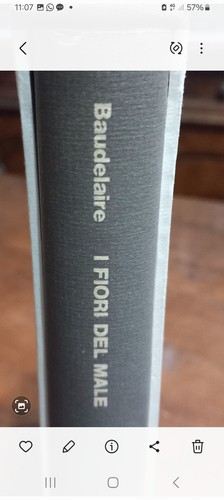 Baudelaire fiori del male - baudelaire,