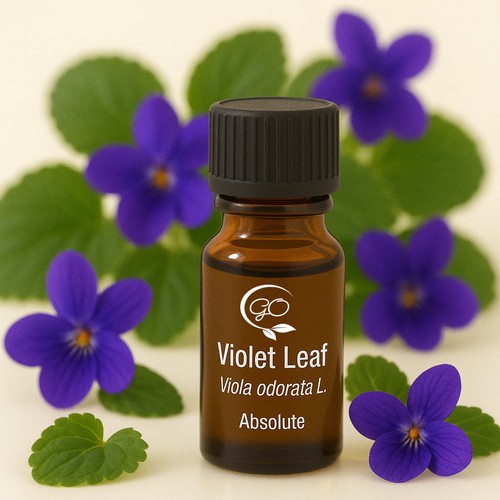 Foglia viola absolute pure - di,