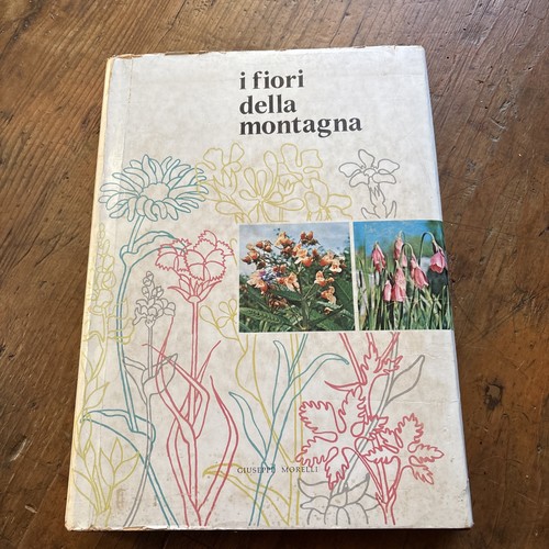 Fiori della montagna - i,