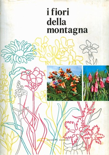 Fiori della montagna - fiori,