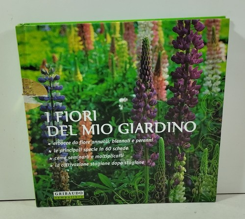 32237 paolo cottini - 32237,